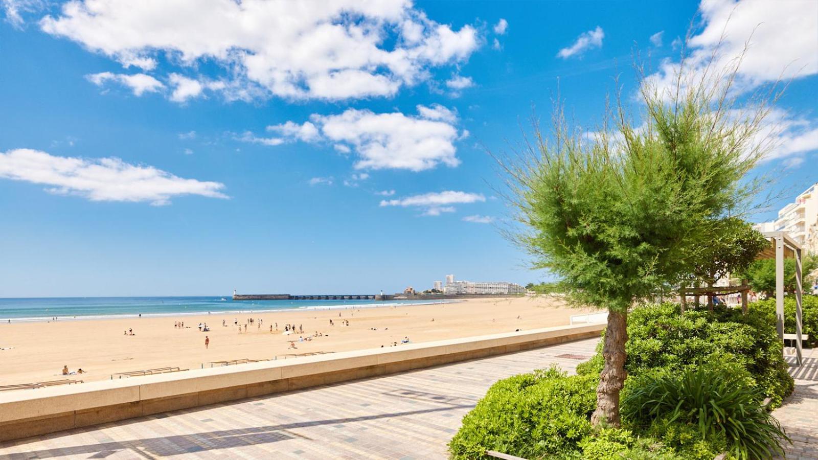 Blue D'olonne *